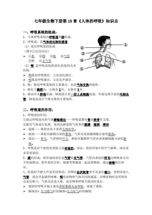 七年级生物下册第10章《人体的呼吸》知识点