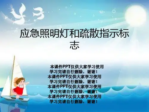 应急照明灯和疏散指示标志