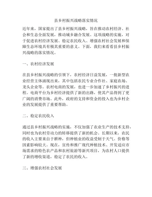 县乡村振兴战略落实情况