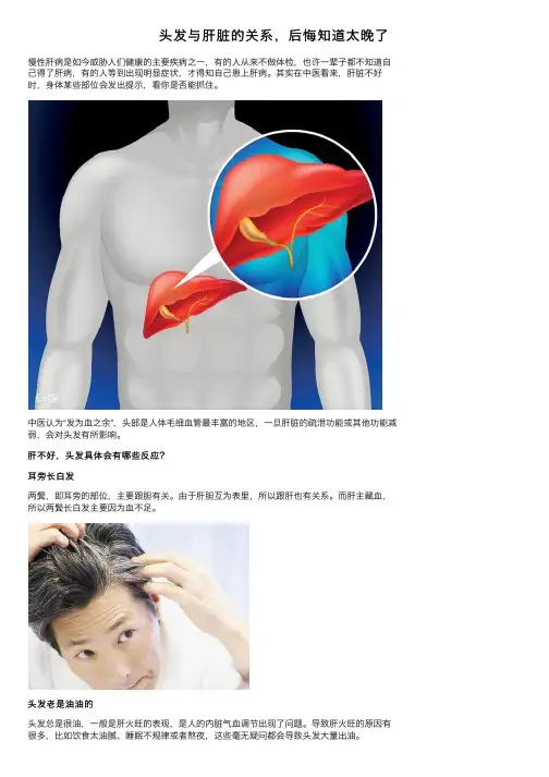 头发与肝脏的关系，后悔知道太晚了