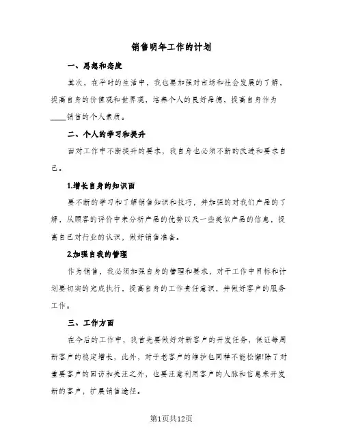 销售明年工作的计划(八篇)