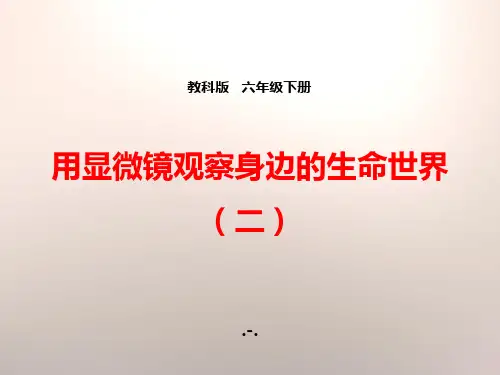 2用显微镜观察身边的生命世界(二)PPT课件