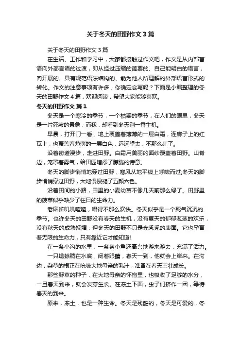 关于冬天的田野作文3篇