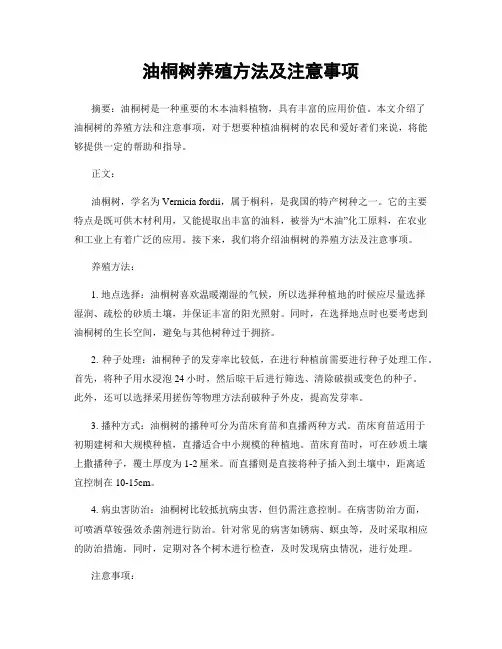 油桐树养殖方法及注意事项