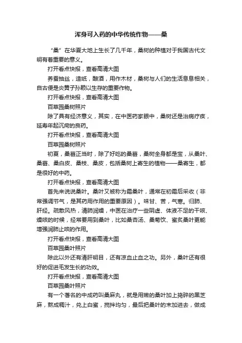 浑身可入药的中华传统作物——桑