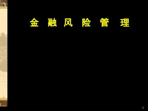 金融风险管理