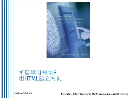 信息时代的管理信息系统 (中文原书第8版)XLMF_chs
