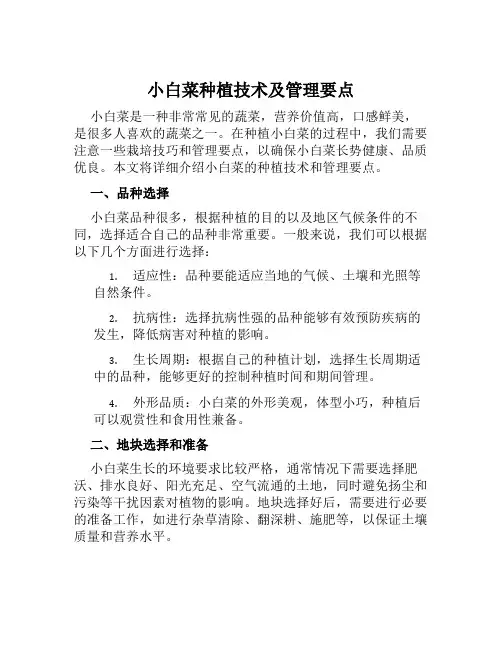 小白菜种植技术及管理要点