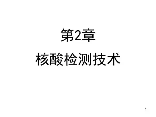 核酸检测技术PPT课件
