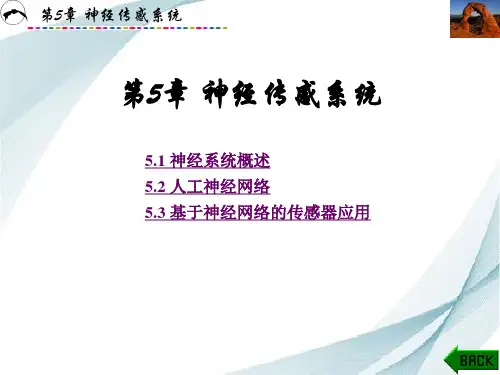 第5章 神经传感系统 