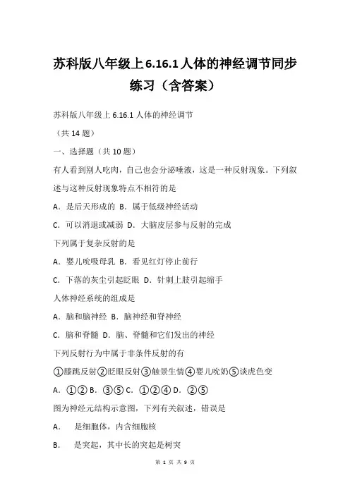 苏科版八年级上6.16.1人体的神经调节同步练习(含答案)