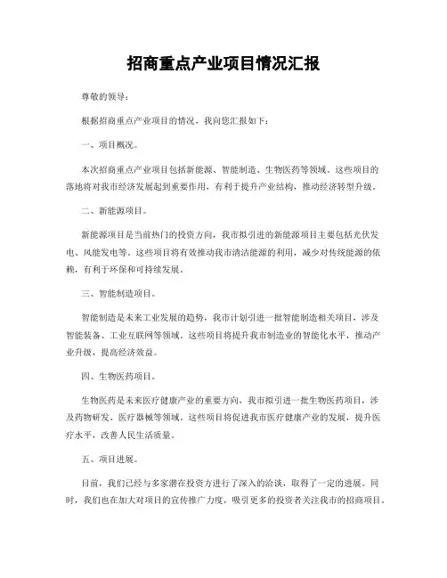 招商重点产业项目情况汇报