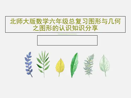 北师大版数学六年级总复习图形与几何之图形的认识知识分享45页PPT