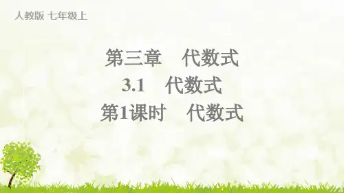 人教版2024-2025学年七年级数学上册第1课时 代数式(习题课件)