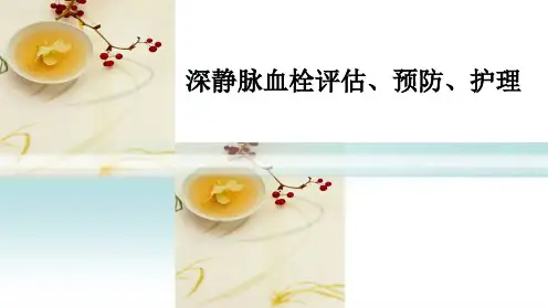 深静脉血栓的预防和护理