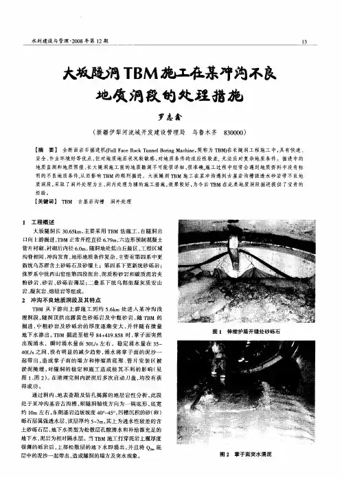 大坂隧洞TBM施工在某冲沟不良地质洞段的处理措施