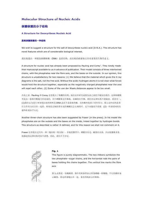 Molecular Structure of Nucleic Acids