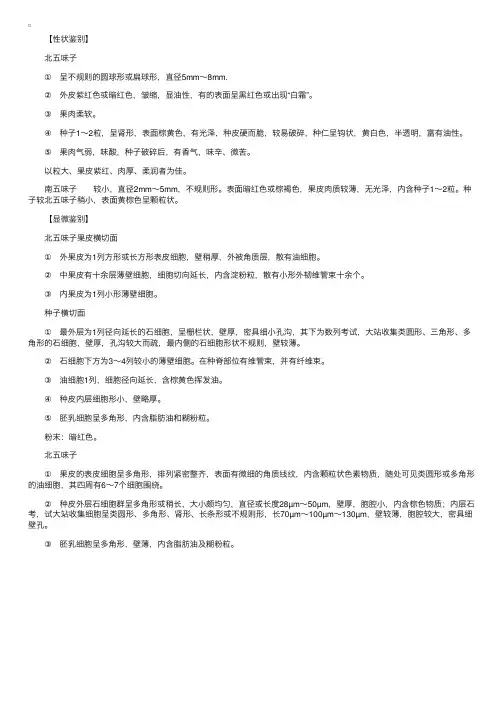 中药鉴定学：果实种子类——五味子的鉴别
