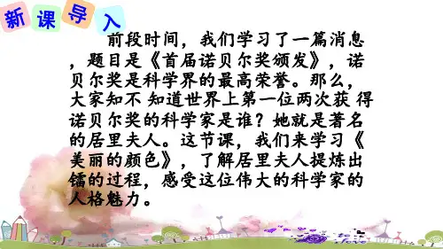 第9课《美丽的颜色》课件(共42张ppt)-部编版语文八年级上册
