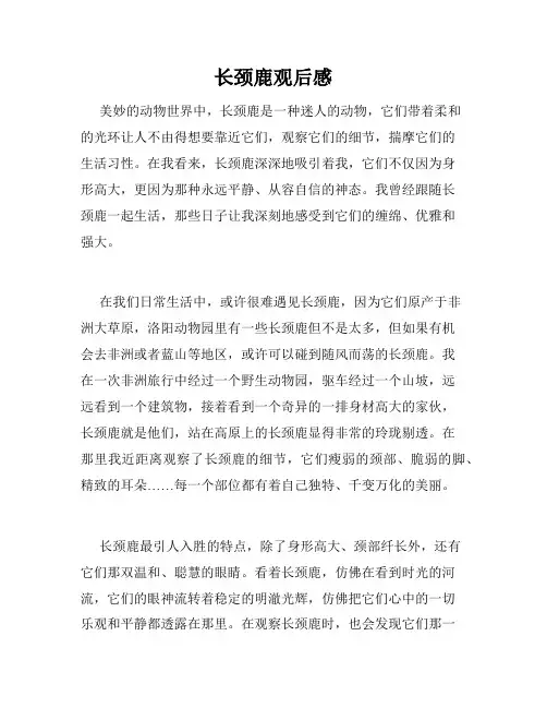 长颈鹿观后感