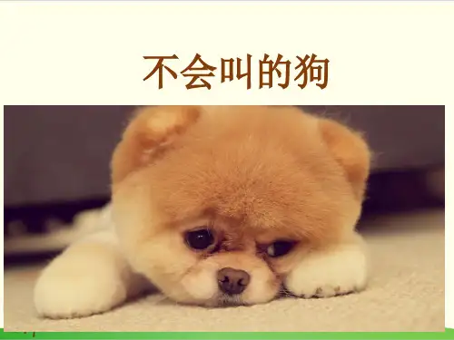 部编教材三年级上册语文《不会叫的狗》完美课件ppt