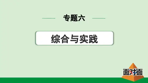 2024年中考数学总复习考点梳理专题六综合与实践