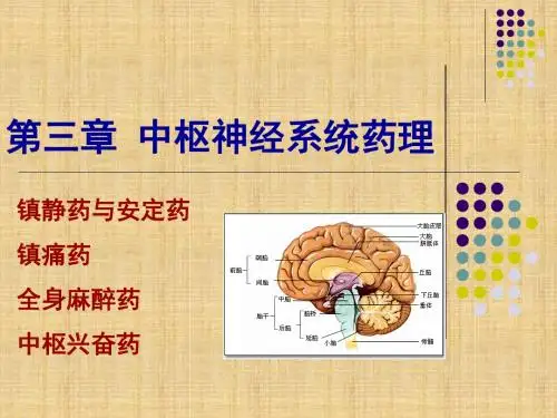 药理学第三章中枢神经系统药理