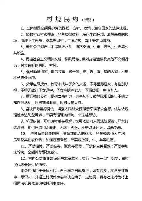 村规民约(细则)