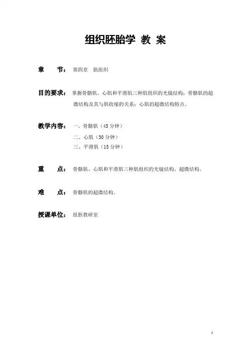 组织胚胎学教案