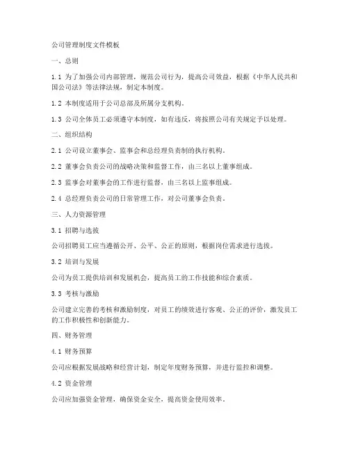 公司管理制度文件模板