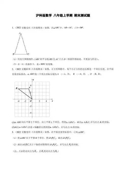 沪科版数学八年级上学期期末测试题 (7)