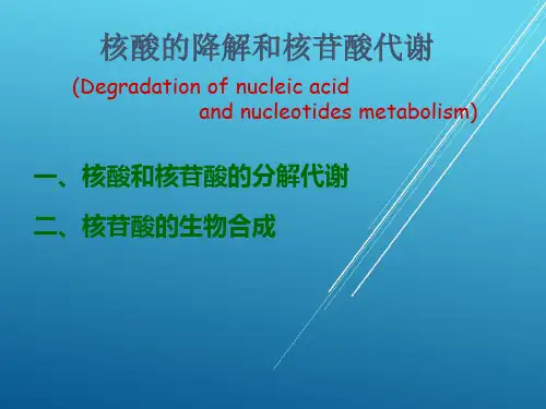 【吉大考研 生物化学】8