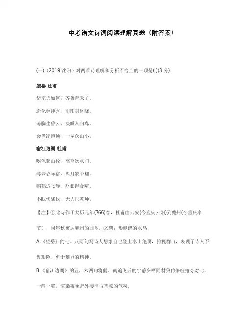 中考语文诗词阅读理解真题(附答案)