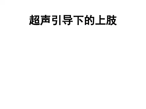 201706超声引导下神经阻滞