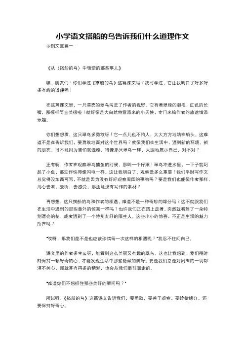 小学语文搭船的鸟告诉我们什么道理作文