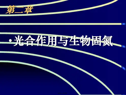 光合作用与生物固氮(与“植物”有关文档共19张)