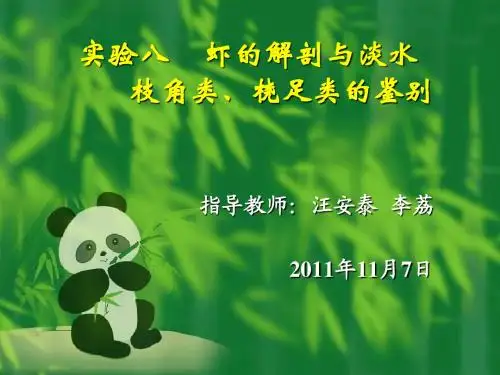 动物生物学三蚯蚓与河蚌的解剖