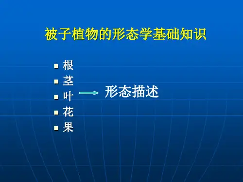 植物学 被子植物的形态学基础知识