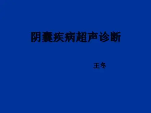 阴囊疾病超声诊断