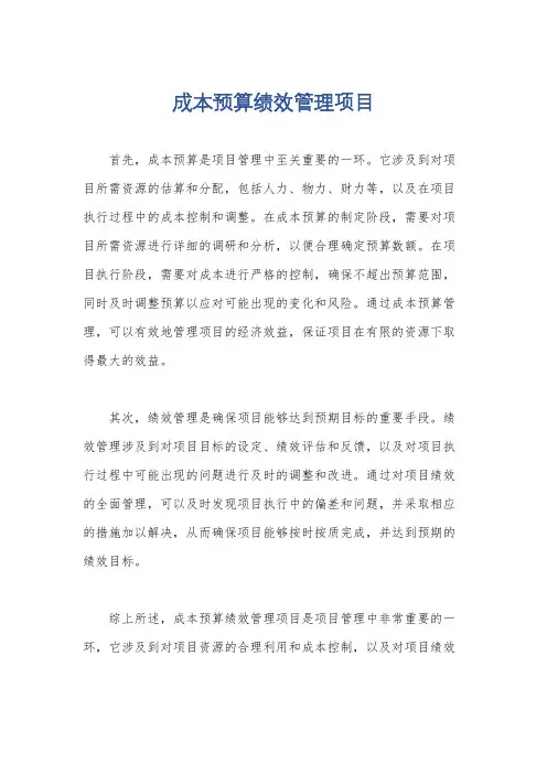成本预算绩效管理项目