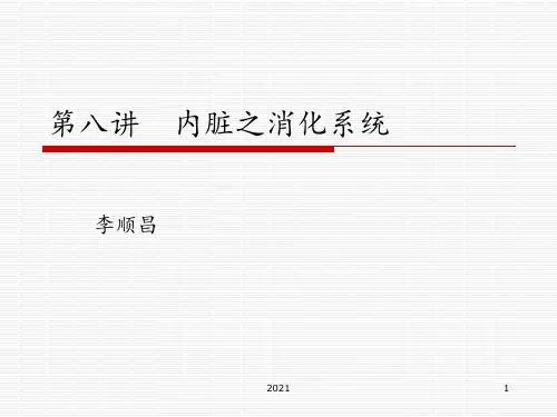 第九讲内脏之消化系统PPT课件