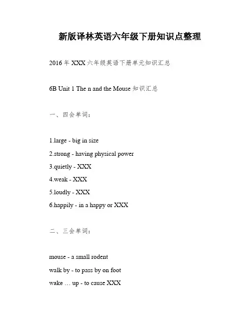 新版译林英语六年级下册知识点整理