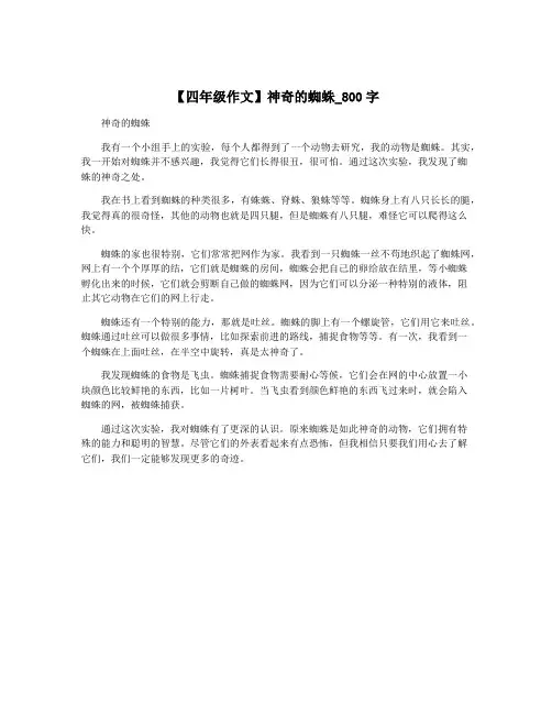 【四年级作文】神奇的蜘蛛_800字