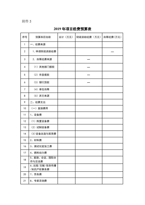 2019年项目经费预算表