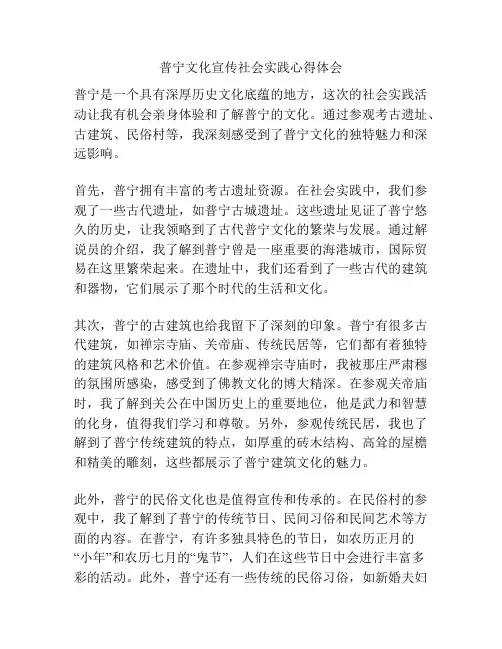 普宁文化宣传社会实践心得体会