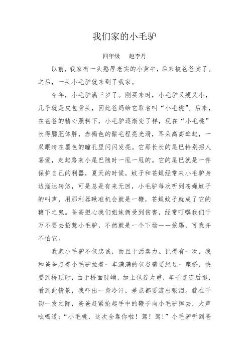 我们家的小毛驴