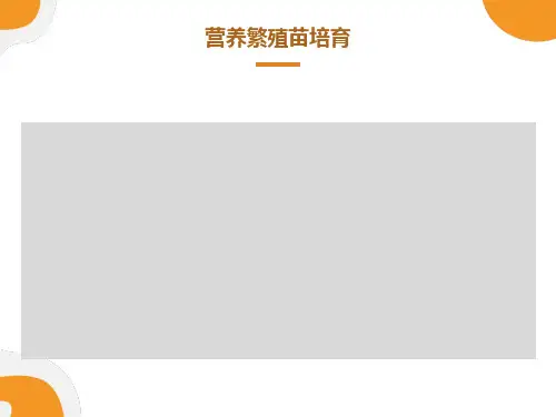 营养繁殖苗培育