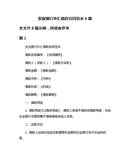 农业银行外汇借款合同范本6篇