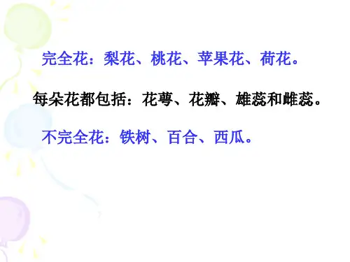 花果实和种子