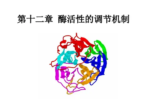 生物化学第十二章 酶活性的调节